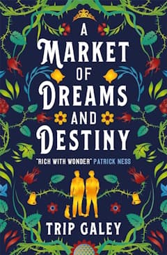 A Market of Dreams and Destiny cover